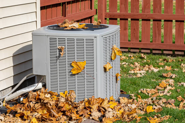 Best Best HVAC Companies  in Chapel Hill, TN